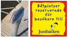 Sagolekhuset Junibacken